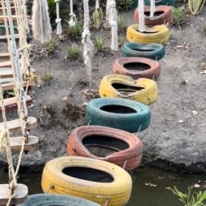 Tyre Crossing